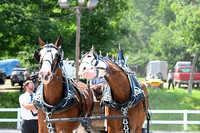AJB_0676