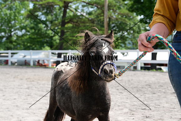 AJB_0418
