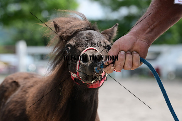 AJB_0421