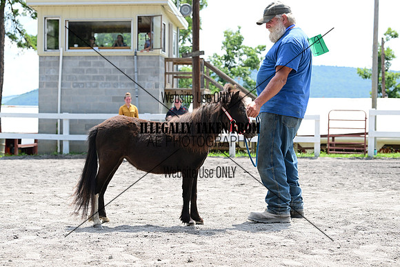 AJB_0423