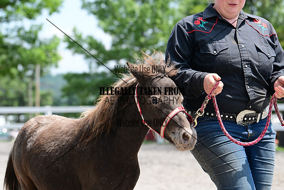 AJB_0427