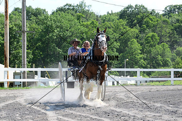 AJB_0794