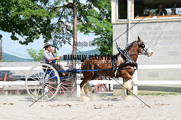 AJB_0796