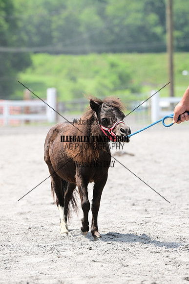 AJB_0432