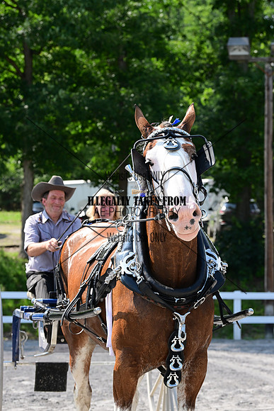 AJB_0798