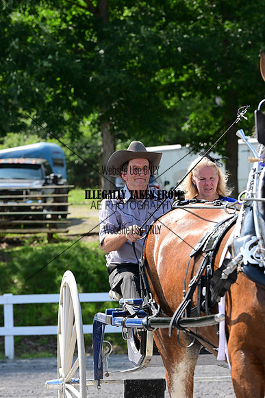 AJB_0799