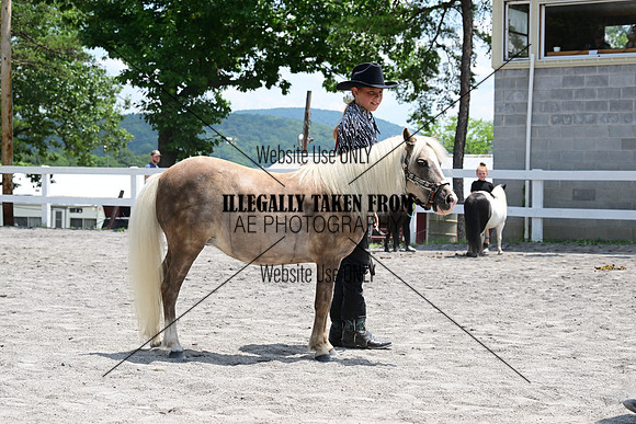 AJB_0521