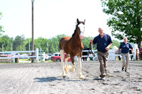 AJB_0078