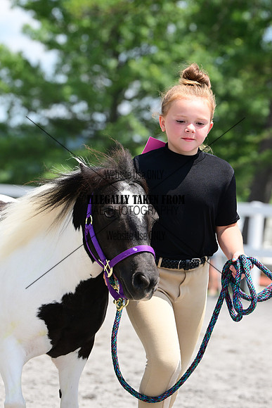 AJB_0529