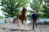 AJB_0082