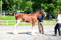 AJB_0083