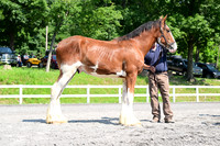 AJB_0084