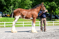 AJB_0085
