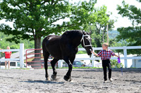 AJB_0139