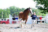AJB_0141
