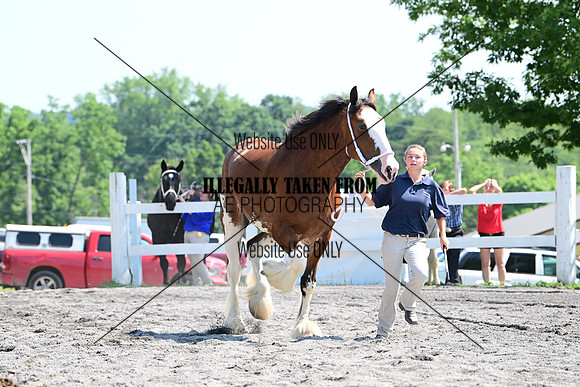 AJB_0141