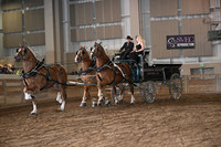 ASH_3803