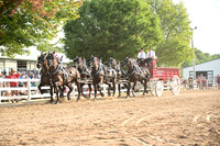 AJB_0539