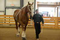 Sr. Youth Showmanship-6