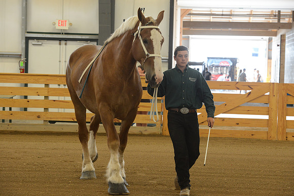 Sr. Youth Showmanship-6