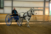 Pleasure Cart-9