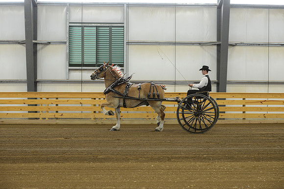 Thursday_cartclasses -2