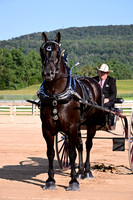 AJB_4425