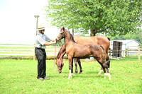 AJB_4789