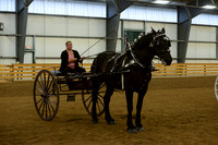 Ladies Cart_Percheron-20