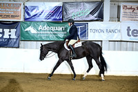 Amatuer Walk Trot Hunter Under Saddle
