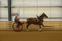 Sr. Youth Cart-15