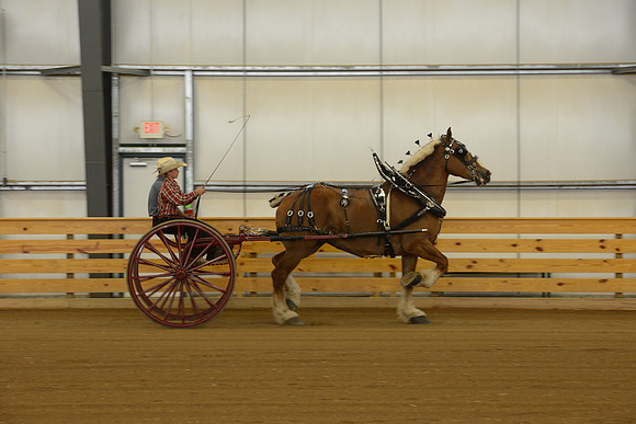 Sr. Youth Cart-15