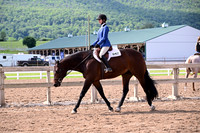 69. Amateur Hunter Under Saddle