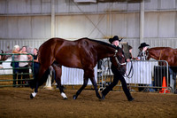 KE1_3721