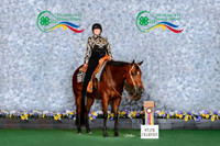 a.hack_statechampion_dauphin_2289-PkgA