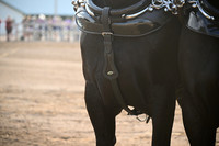AJB_0510