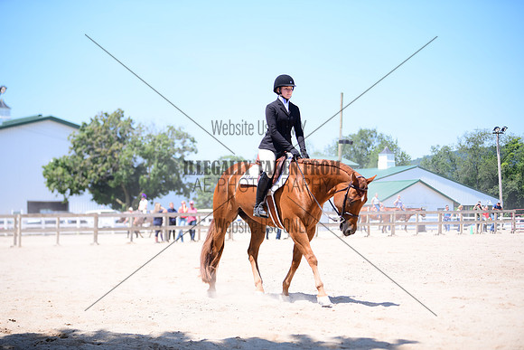 STE_5282