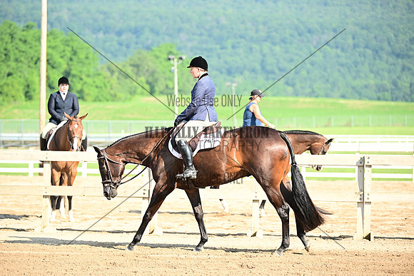 AJB_8834