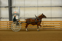 Sr. Youth Cart-14