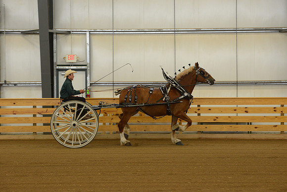 Sr. Youth Cart-14