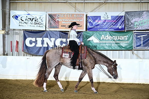 AJB_2013