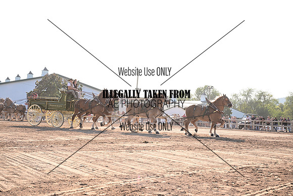 AJB_8026
