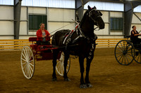 Ladies Cart_Percheron-18