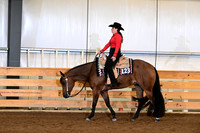 126. Novice Amateur Western Pleasure