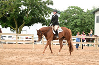AJB_6964