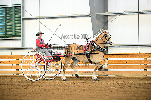 AJB_7080