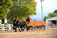 AJB_0785