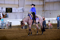 26 Level 2 Youth Western Pleasure - All Age