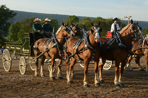 Four Horse Hitch_Amateur_youth-11