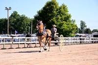 AJB_4685